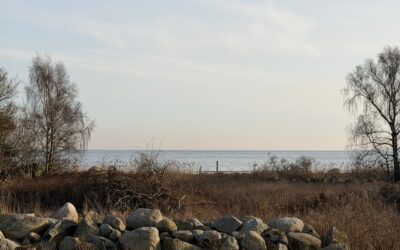 UNIK TOMT I SANDVIKEN